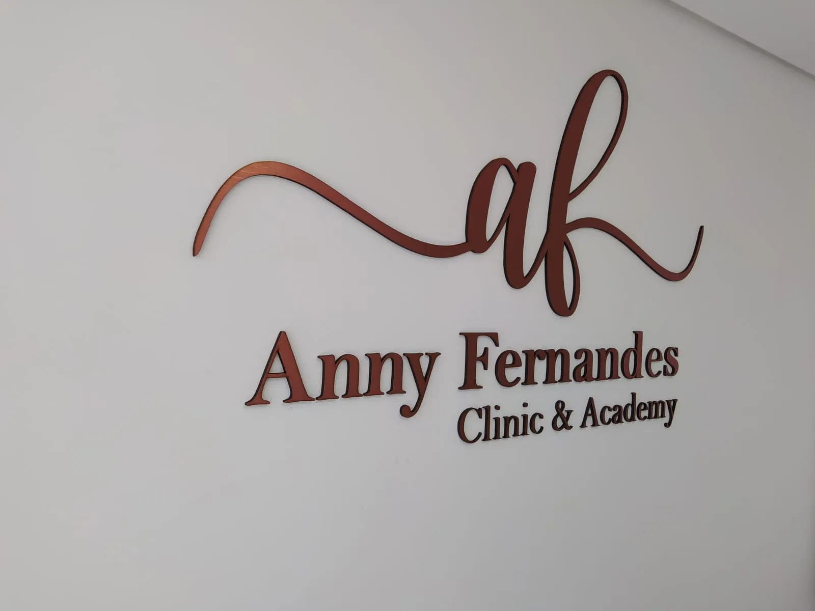 Logo Anny Fernandes em acrílico rosé